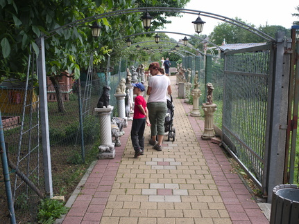 IMGP0821