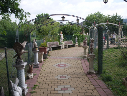 IMGP0823