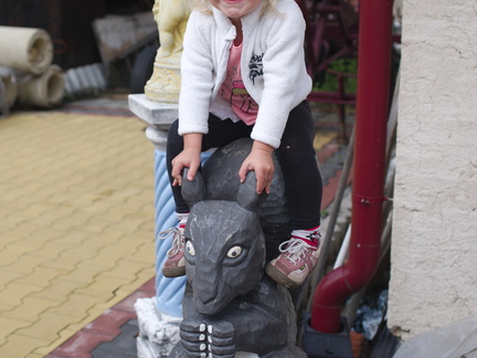 IMGP0831