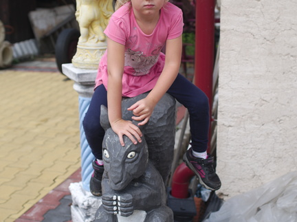 IMGP0832