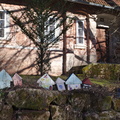 IMGP2338