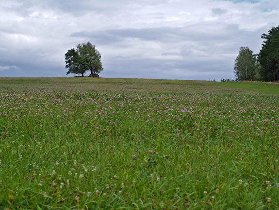 IMGP3899