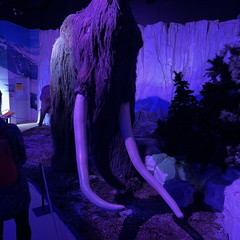 IMG 0275