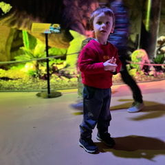 IMG 0278