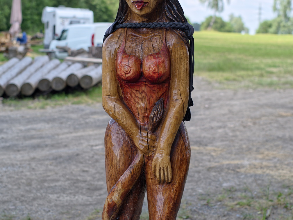 IMGP8267