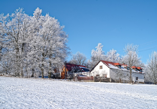 IMGP9777