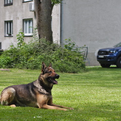 IMGP3090