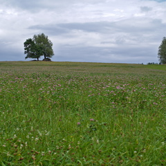 IMGP3899