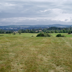 IMGP3903