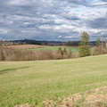 IMGP5142