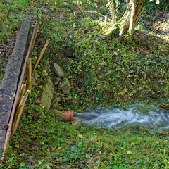 IMGP9017
